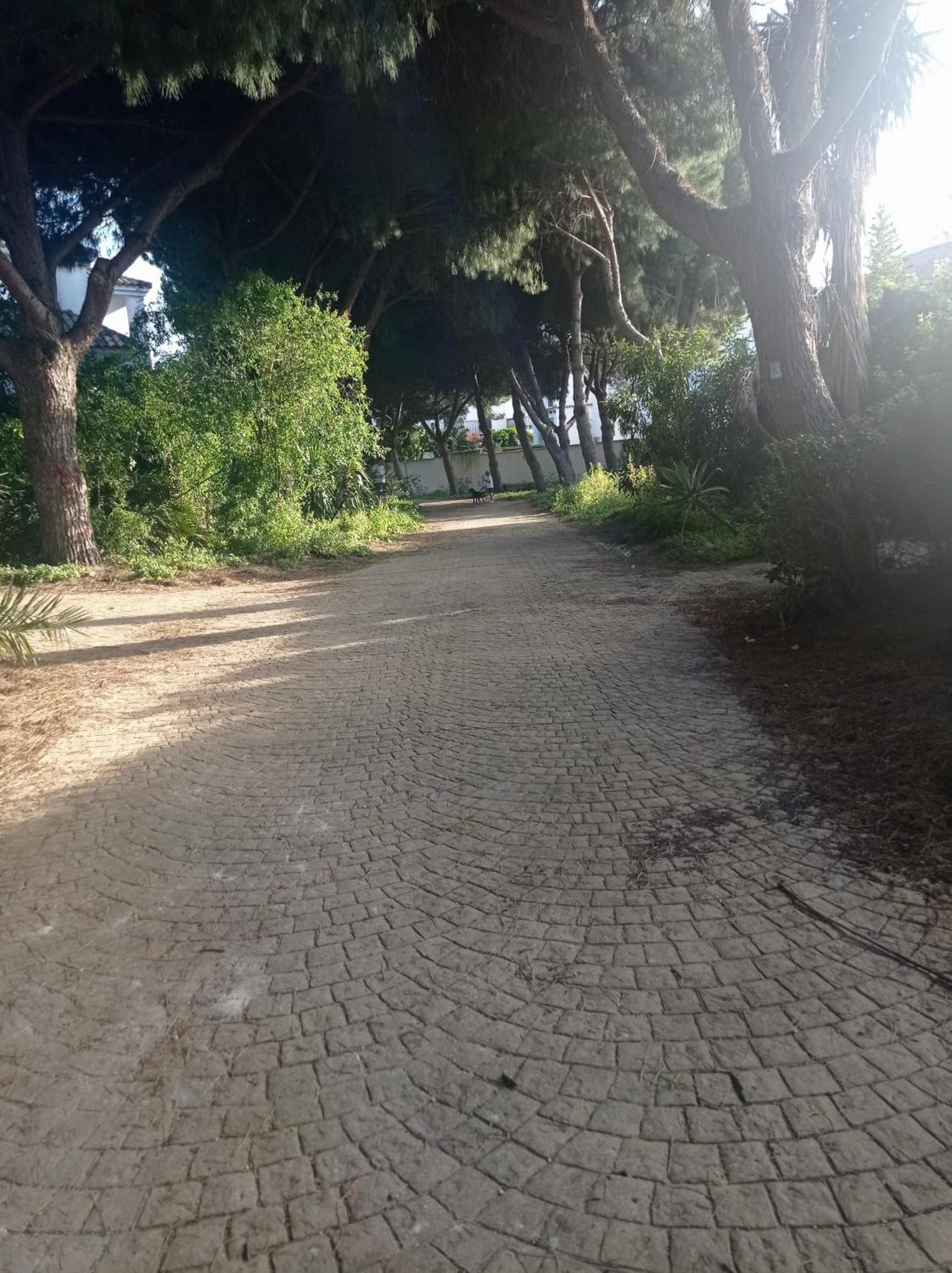 Apartamento Crucero 2, La Jara Sanlúcar de Barrameda Dış mekan fotoğraf
